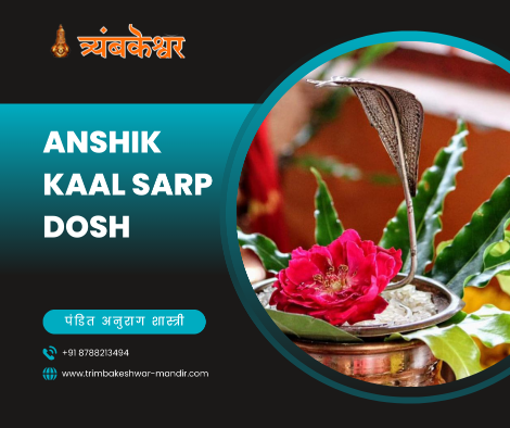 Anshik Kaal Sarp Dosh