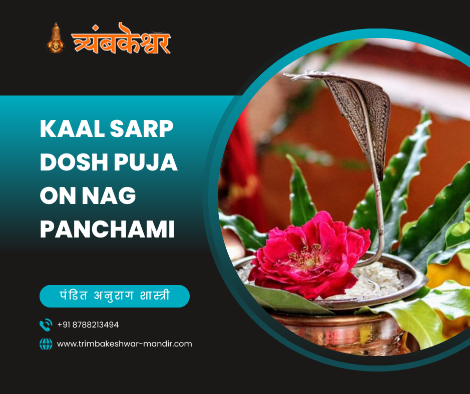 Kaal Sarp Dosh Puja on Nag Panchami