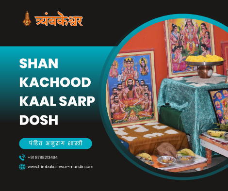 Shankachood Kaal Sarp Dosh