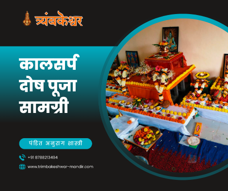 कालसर्प दोष पूजा सामग्री