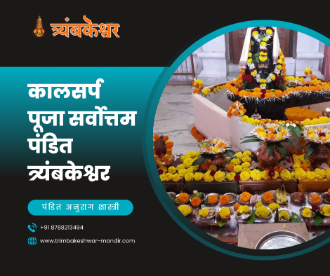 कालसर्प पूजा सर्वोत्तम पंडित त्र्यंबकेश्वर