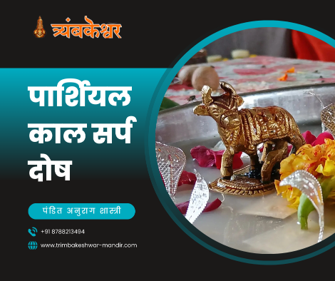 पार्शियल काल सर्प दोष